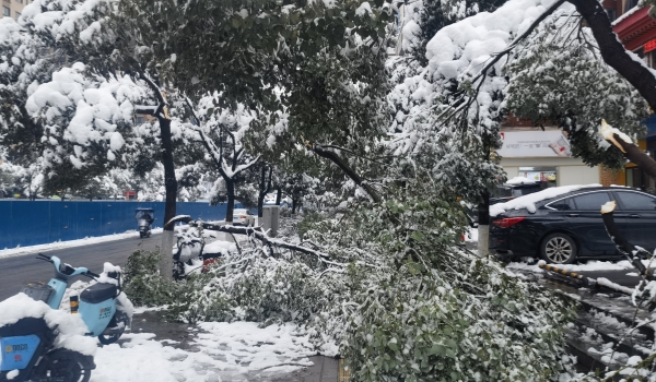 抗擊冰雪，他們在行動